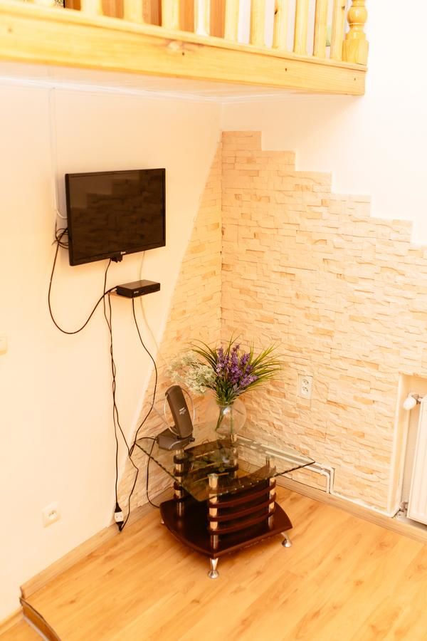 Апартаменты Біля цирку (Near the circus) Львов-5